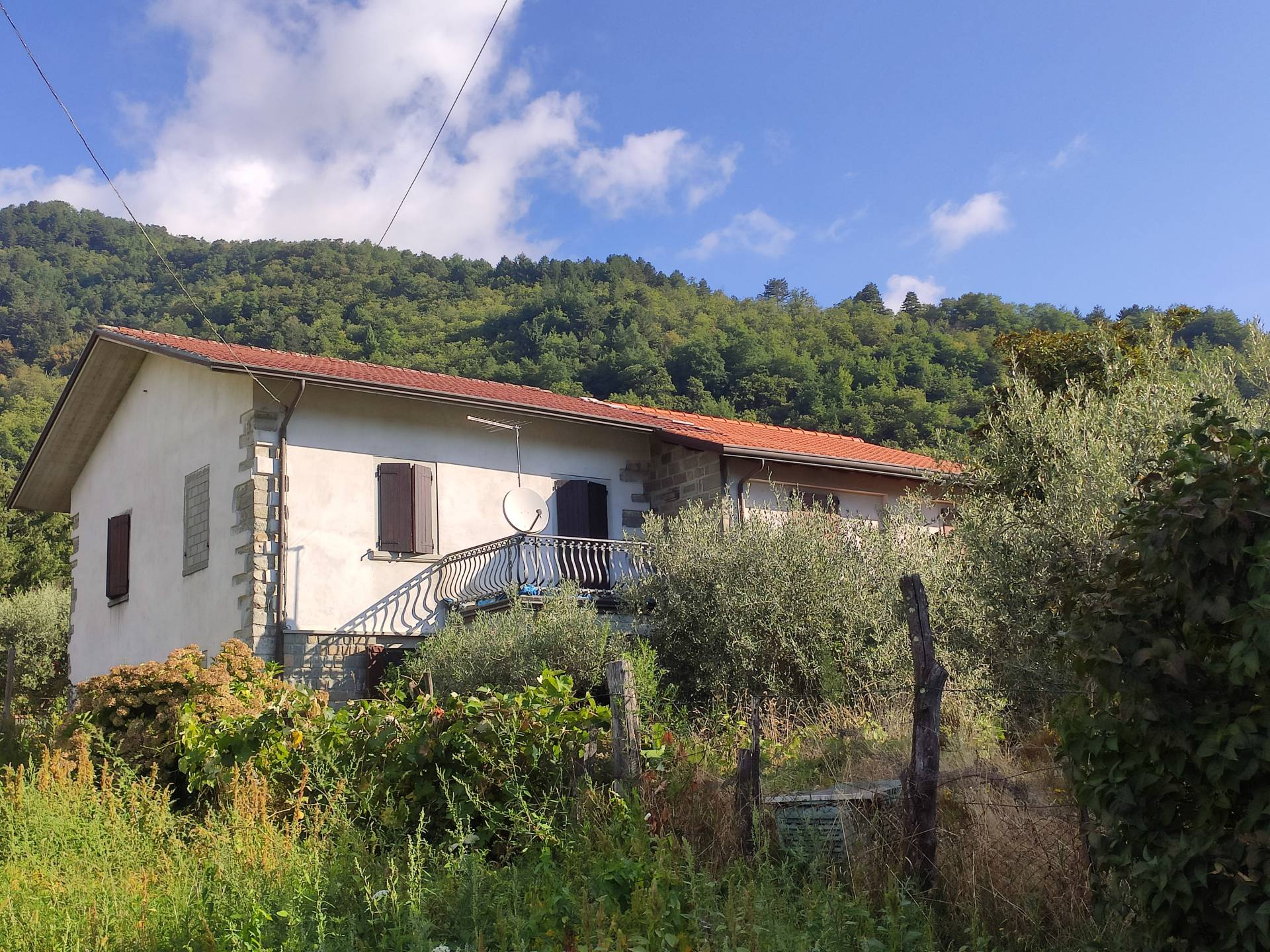 Villa in Vendita a Comano Massa Carrara