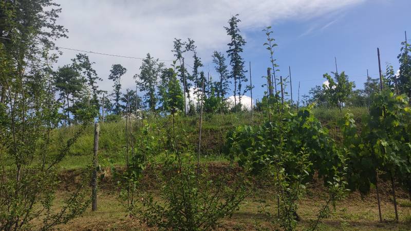 Casa Indipendente in Vendita a Aulla Massa Carrara