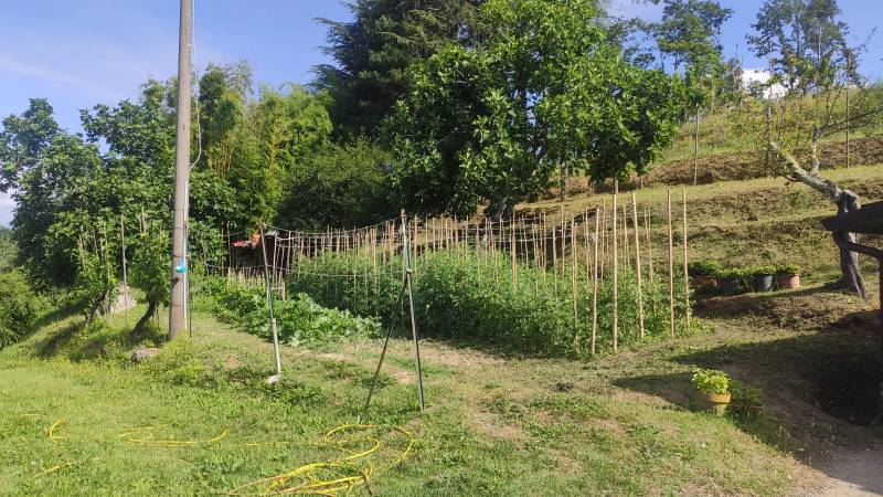 Casa Indipendente in Vendita a Aulla Massa Carrara