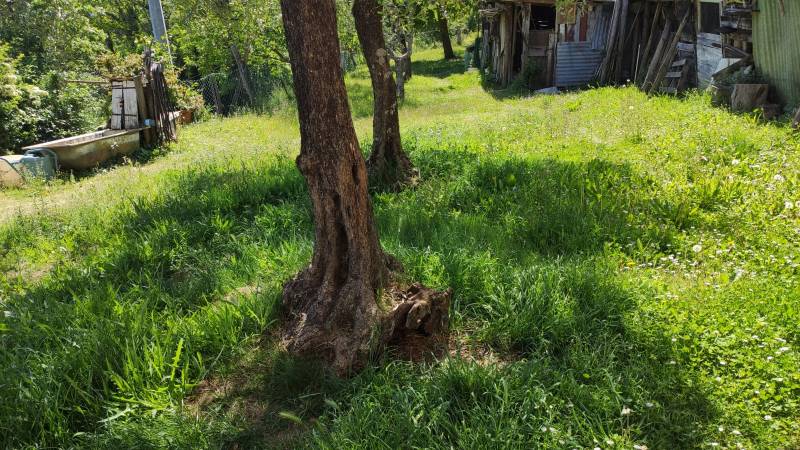 Appartamento indipendente in Vendita a Licciana Nardi Massa Carrara