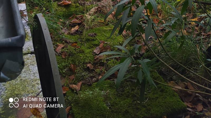Casa Semindipendente in Vendita a Tresana Massa Carrara