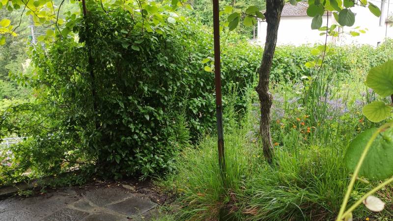 Casa Semindipendente in Vendita a Licciana Nardi Massa Carrara