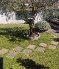 Appartamento con giardino vicinanze Aulla A56