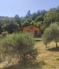 Casa indipendente con terreno C 154